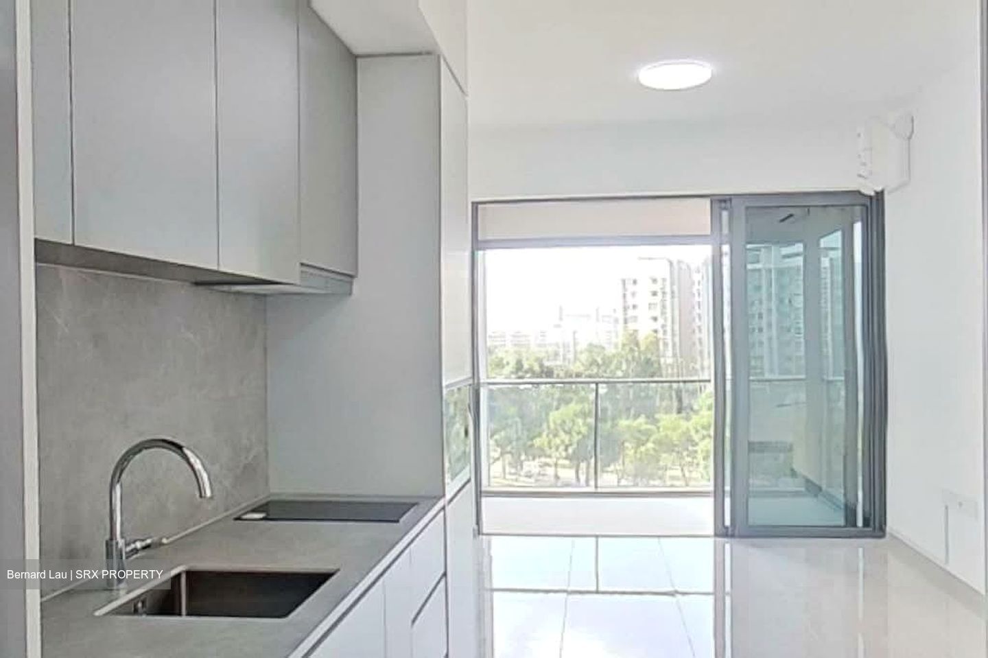 Parc Clematis (D5), Apartment #569985731